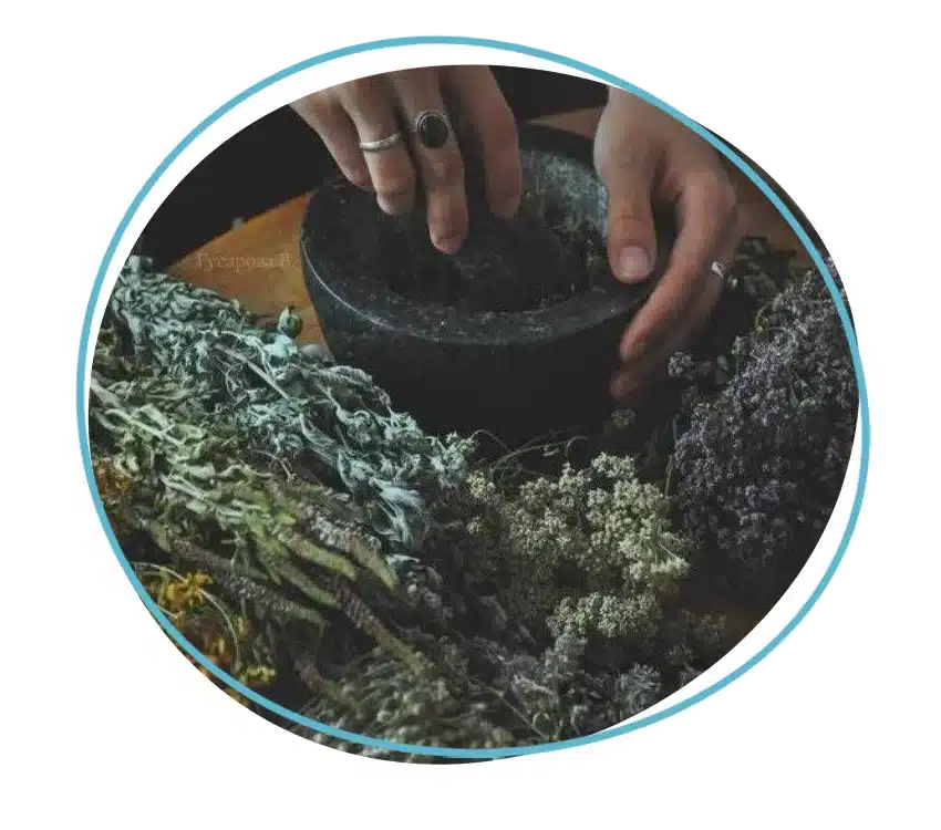 Membership faq img A person processing plant